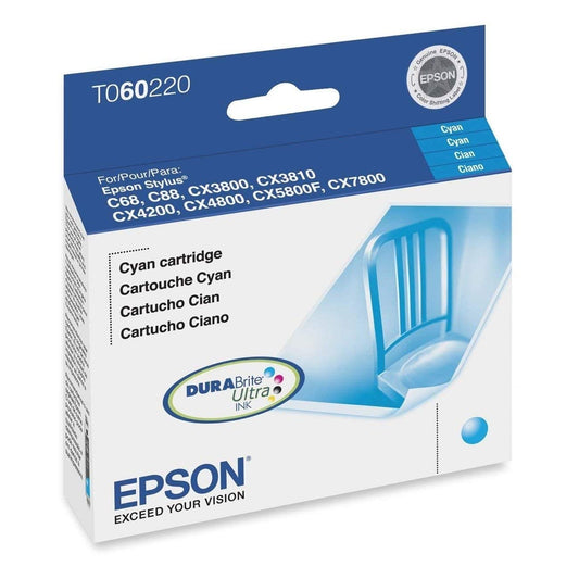 Epson Original Ink Cartridge Model T060220