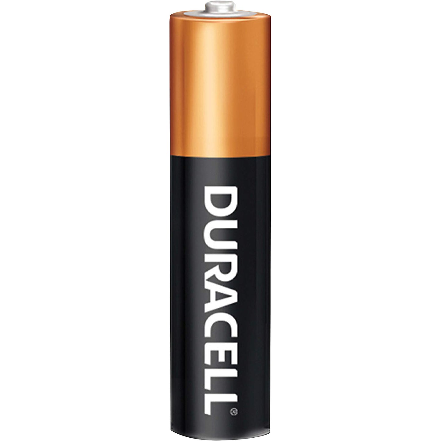 Duracell Professional MN24P36 Coppertop AAA Battery, 1.6-0.75V Operating Voltage (Pack of 36)