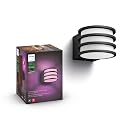 Philips Hue Lucca Outdoor Smart Wall Light, Black - E26 White and Color Ambiance LED Color-Changing Bulb - 1 Pack - Requires Hue Bridge - Control