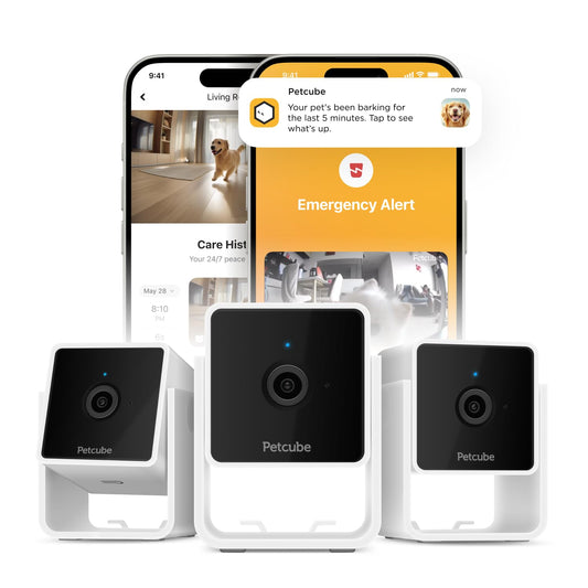 Petcube Cam Pack of 3 Indoor Home Security Cameras with 1080p HD Video, 2-Way Audio, Motion Detection, and Phone App, Night Vision Wi-Fi Camera