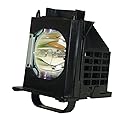 FI Lamps Replacement Lamp with Housing for Mitsubishi WD-65735, WD-65736, WD-65737, WD-65835 (915B403001), Black, 1 Count (Pack of 1)