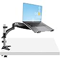 StarTech.com Desk Mount Laptop Arm, Articulating Arm for Laptop or Single Monitor up to 34" (17.6lb/8kg), VESA Tray Bracket, Ergonomic Adjustable