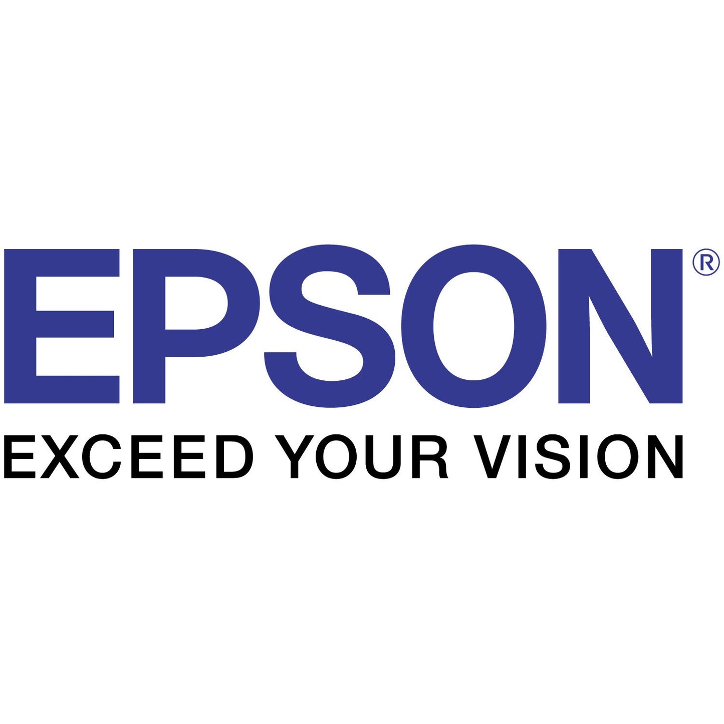 Epson S187093 Ink Cartridge