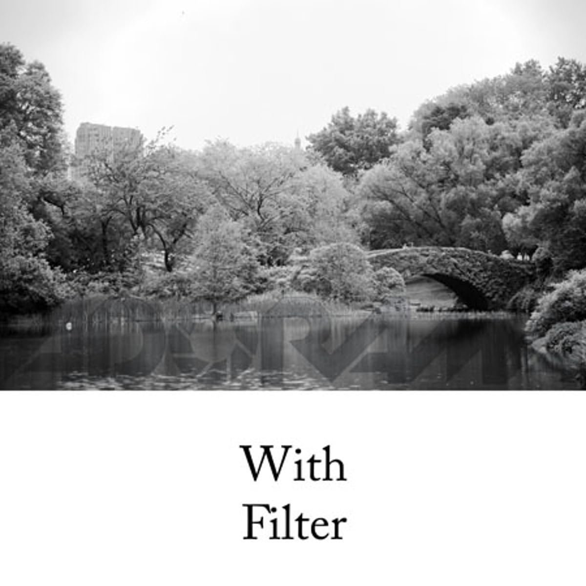 Tiffen 46DY15 46mm Deep Yellow 15 Filter