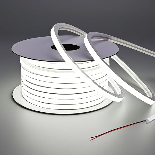 BENLUN 24V LED Neon Strip Lights 49.2FT, 6000K Cool White Led Rope Light Outdoor IP67 Waterproof 10W/M Flexible Cuttable for Bedroom Living Room