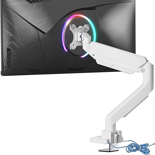 WALI Ultrawide Monitor Arm for 13 to 49 Inch Heavy Duty Curved Screens, Adjustable Single Monitor Desk Mount with 2 USB 3.0 Ports, Holds 33 lbs