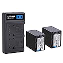 2 Pack NP-FV100 4200mah Battery Compatible for Sony HDR-CX455 CX675 CX260 CX290 CX330 CX380 CX430V CX580V CX760V CX900 PJ430V PJ540 PJ580V PJ650V