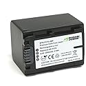 Wasabi Power Battery for Sony NP-FV70 and Sony DCR-SR15, SR21, SR68, SR88, SX15, SX21, SX44, SX45, SX63, SX65, SX83, SX85, FDR-AX100, HDR-CX105