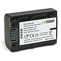 Wasabi Power Battery for Sony NP-FV30, NP-FV40, NP-FV50 and Sony DCR-SR15, SR21, SR68, SR88, SX15, SX21, SX44, SX45, SX63, SX65, SX83, SX85