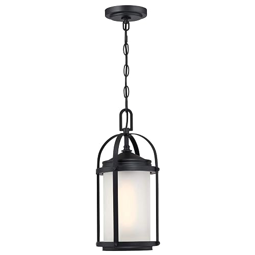 Westinghouse Lighting Grandview One-Light Outdoor Wall Fixture, Oil Rubbed Bronze Finish with Highlights and Clear Seeded Glass