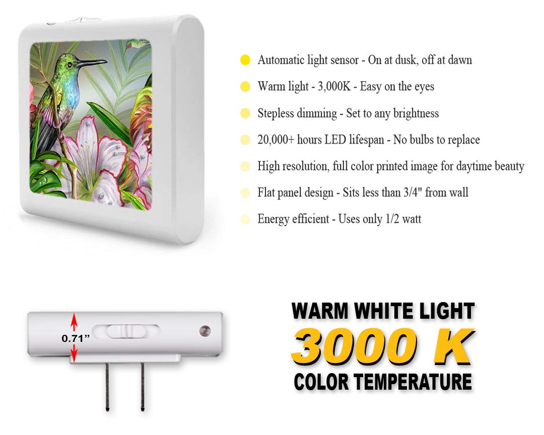 Art Plates Plug in Dimmable LED Night Light with Dusk to Dawn Auto Sensor, Adjustable Brightness, Warm Light, Auto On-Off Nightlight for Bathroom
