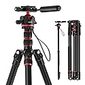 NEEWER Basics Camera Tripod Monopod, 77" Compact Lightweight Travel DSLR Video Stand, 360° Ball Head, Arca Type QR Plate, Reversible Legs & Inverted