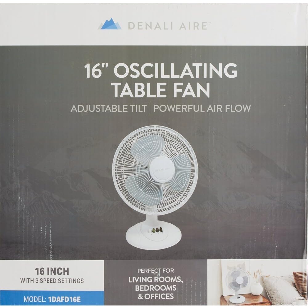 Oscillating Fan
