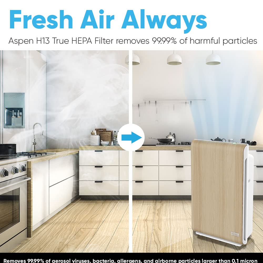 Aspen One Button Air Purifiers for Home, Cleans 1500 SqFt in 50min and 362 SqFt in 12min, HEPA Air Purifier with Automatic and App Control - Filtrate