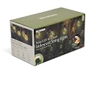 Ideaworks Solar Iridescent String Lights - 10ct Large