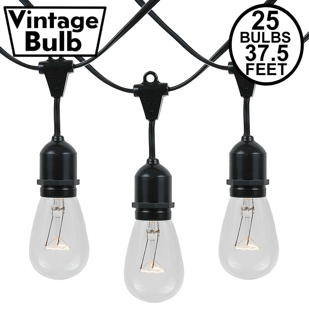 Novelty Lights 37.5 Feet, 25 Suspended E26 Sockets, S14 String Light Set with Clear Incandescent Bulbs, Heavy Duty Black Wire Patio Lights, Weather