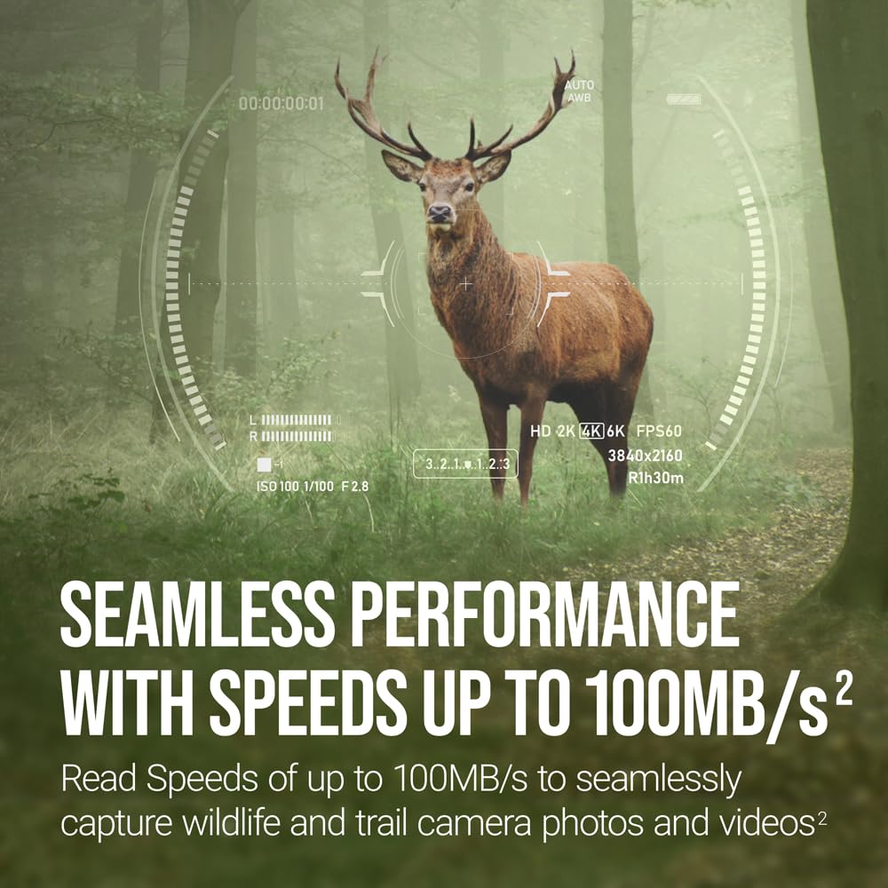 PNY 32GB Elite Class 10 U1 V10 SDHC Trail Camera Flash Memory Read Up to 100MB/s, UHS-I, HD Photo & Video, Outdoor Camera, DSLR Camera, Tactile Use