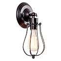 LULING Industrial Wall Sconce Vintage Lighting Adjustable Lamp Rustic Wire Metal Cage Wall Light Shade Edison Style Antique Fixture Porch Mirror (No