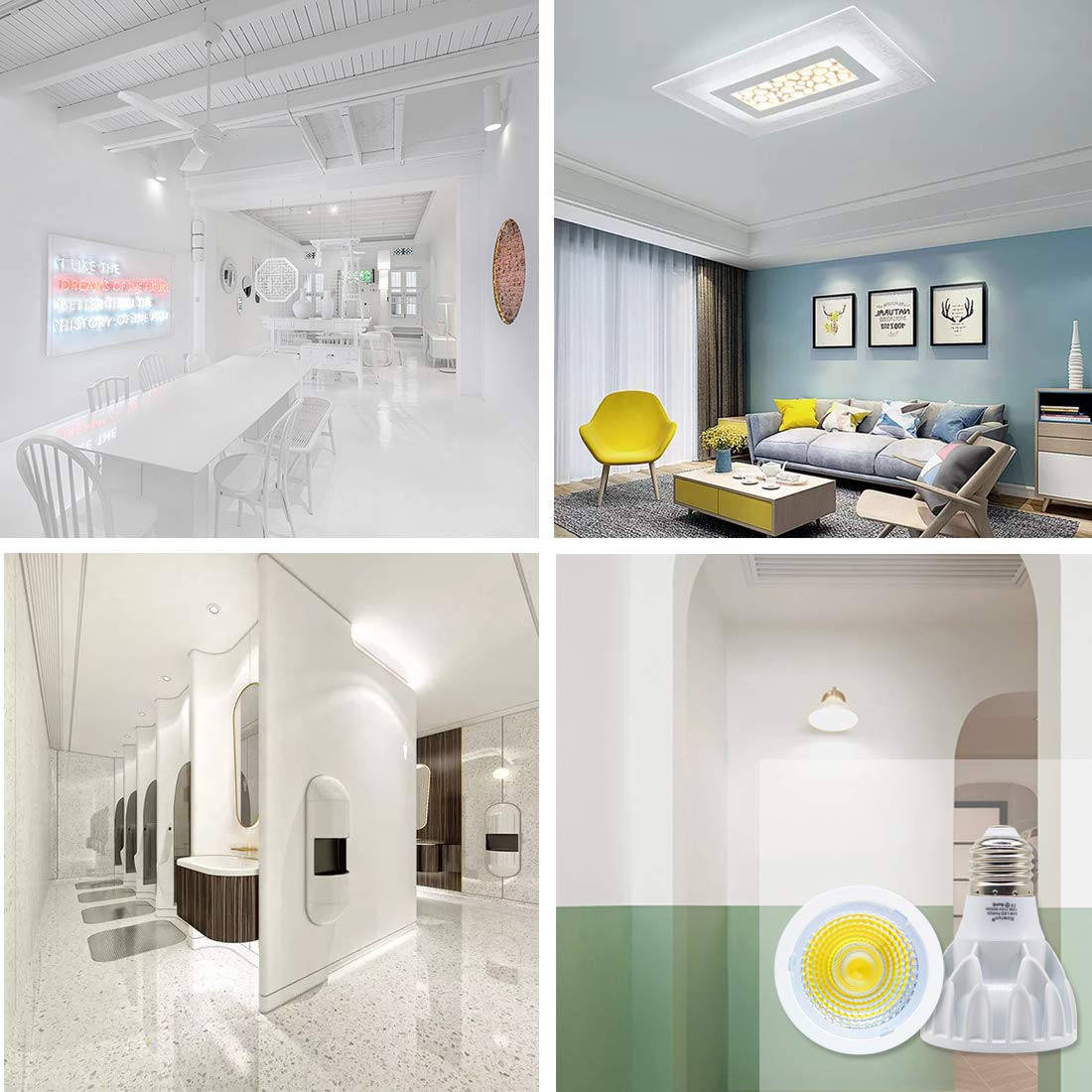 Rowrun PAR20 12W Narrow Flood LED Bulb E26 Dimmable 24° 6000K 2-Pack