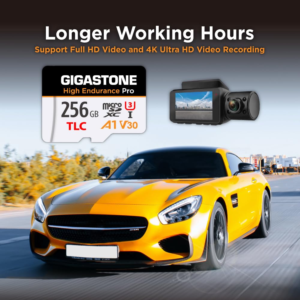 ?5 Yrs Free Data Recovery??Dash Cam? GIGASTONE 256GB Micro SD Card, TLC High Endurance Pro, Speed Up to 100MB/s, Compatible with REDTIGER Rove VIOFO