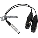 Uonecn 10 Pin to Dual XLR 3 Pin Female Plug Breakout Cable for Atomos Audio Splitter Cable for Shogun Monitor Recorder 30cm