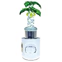 Puzzled Palm Tree Handcraft Art Glass Decorative Night Light Home Décor - Beach Theme - Unique and Elegant Gift