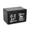 Casil 12V 10Ah SLA AGM Battery - Rechargeable Deep Cycle - F2 Terminals - Compatible with Long Way LW-6FM10, 12V 12Ah Battery Replacement