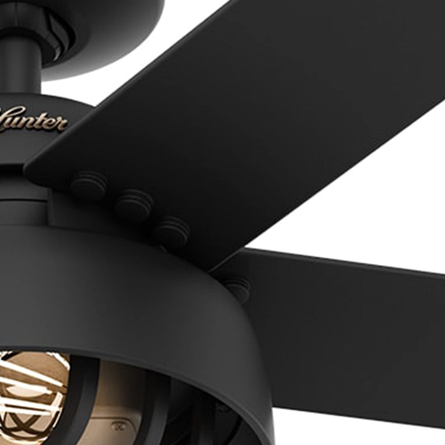 Hunter Fan 52 inch Casual Matte Black Outdoor Ceiling Fan with Light Kit and Remote Control (Renewed)