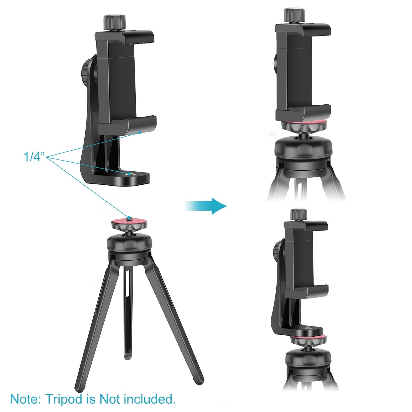 NEEWER Smartphone Holder Phone Tripod Mount Compatible with iPhone Android