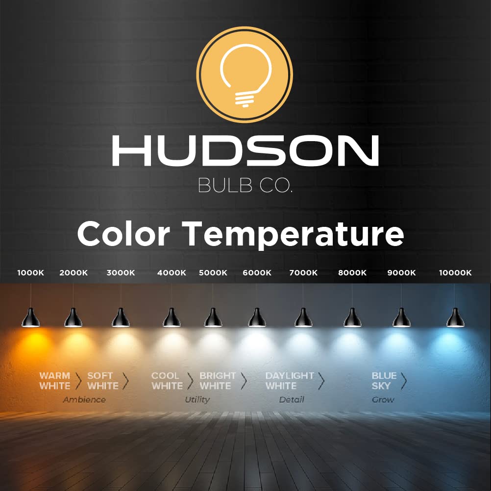 Hudson Vintage LED Edison 6W Bulb Set - 6-Pack 2200K Dimmable Warm Illumination (60W Equivalent) - E26/27 Base, Amber Gold Tint Glass - ST58
