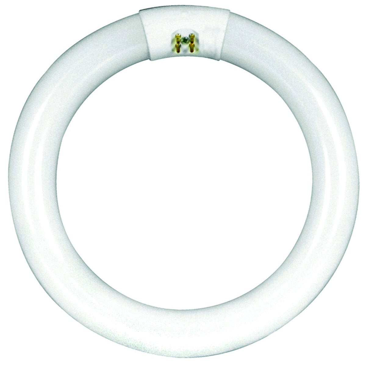 Bulb FLUOR CIR WW 4PN 12IN 32W