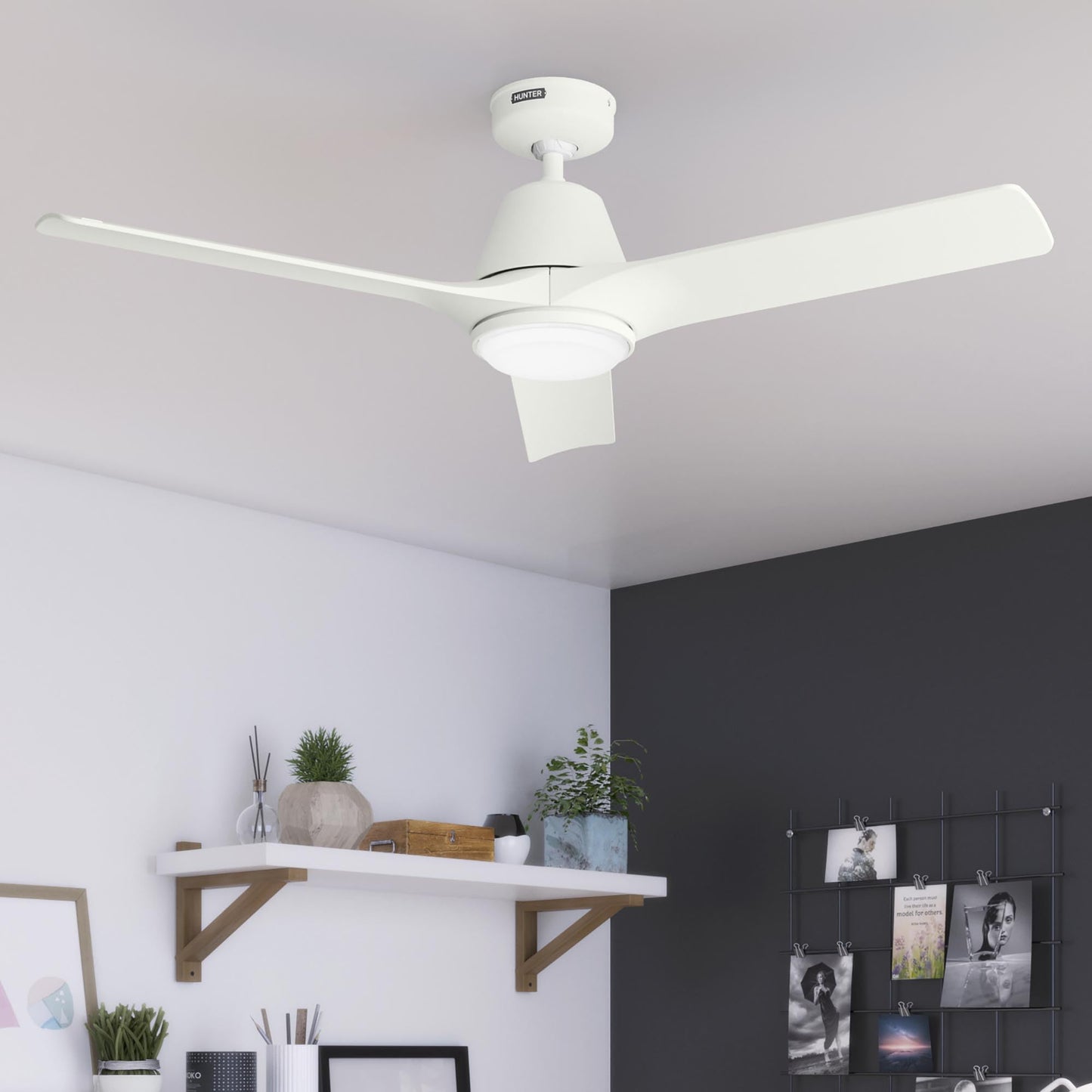 Hunter Fan 52 inch Ceiling Fan with Light, Outdoor or Indoor White Ceiling Fan with Remote for Porch, Living Room, Office, Kitchen, Garage, 3 Blades