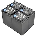 BTBAI Compatible bp-827 Battery for bp-809 bp-819 Digital Camera Video Camcorder (4X Battery)
