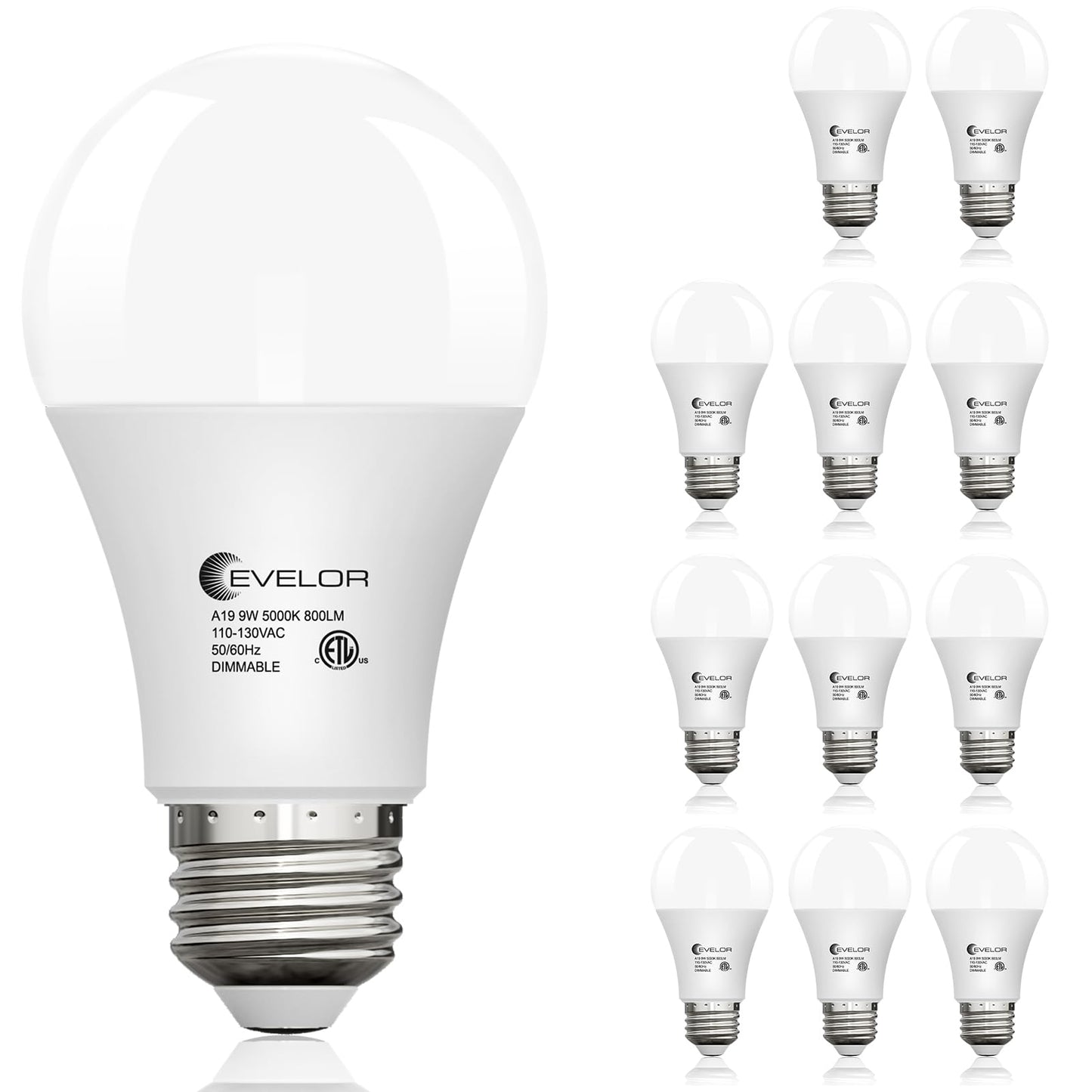 evelor 12-Pack A19 LED Light Bulbs,60 Watt,Daylight 5000K,Dimmable,E26 Base