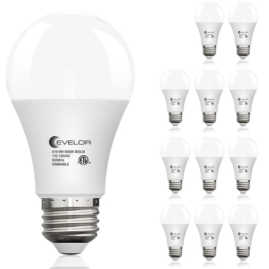 evelor 12-Pack A19 LED Light Bulbs,60 Watt,Daylight 5000K,Dimmable,E26 Base