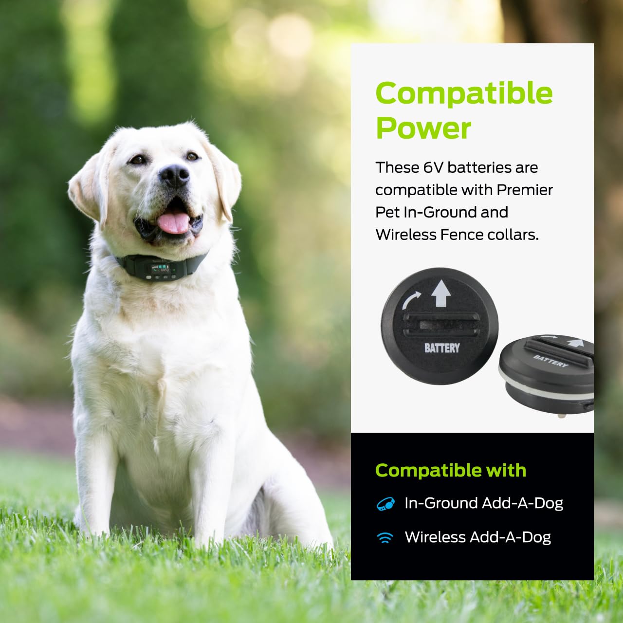Premier Pet 6V Lithium Batteries Pack of 2 - Convenient Replacement Power Source - Long Lasting Battery Life - Broad Compatibility Pack for Wireless…