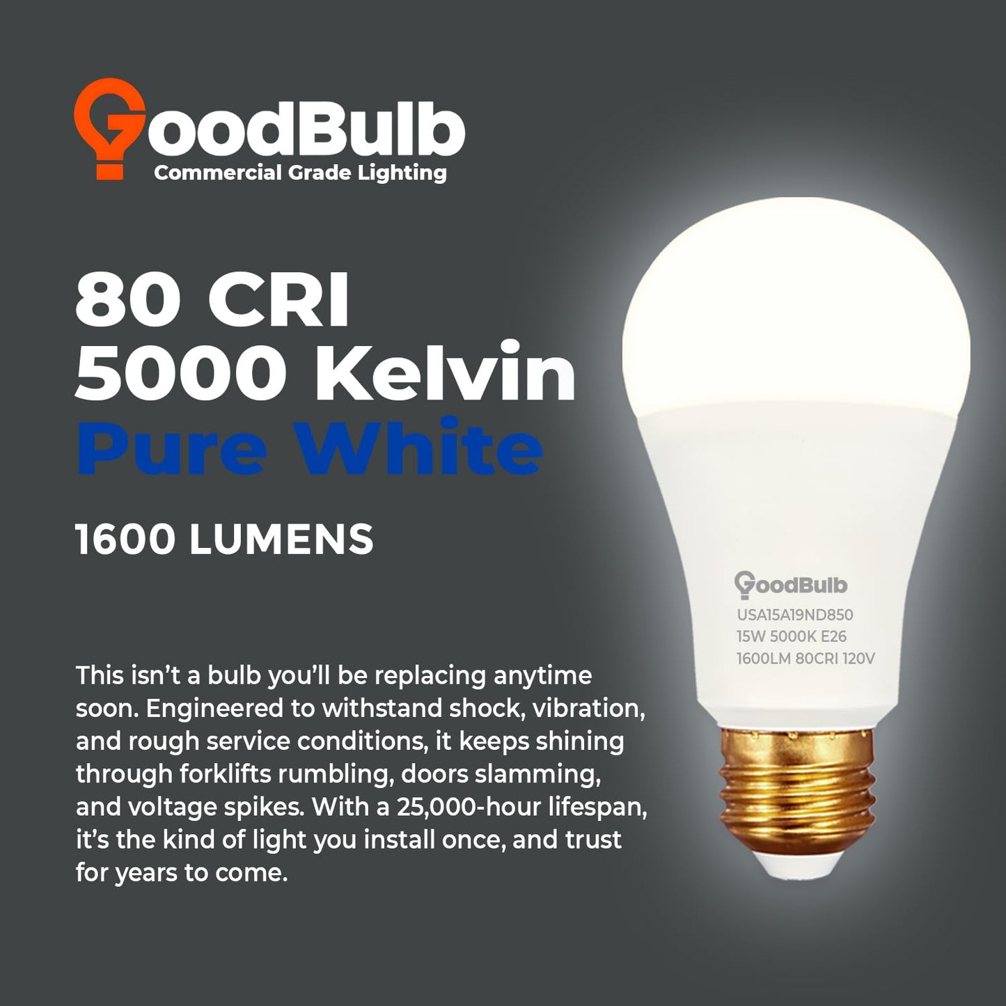 GoodBulb Made in USA A19 LED Light Bulbs, 100W Equivalent, 15W Non-dimmable, 5000K Daylight, 1600 Lumens, E26 Base, 25,000 Hour Long Lasting, 10 Pack