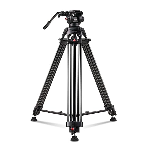RAUBAY 70.8" Professional Heavy Duty Video Camera Tripod with Fluid Head, QR Plate for DSLR Camcorder, Max Loading 17.6lbs, Aluminum Twin Tube Leg