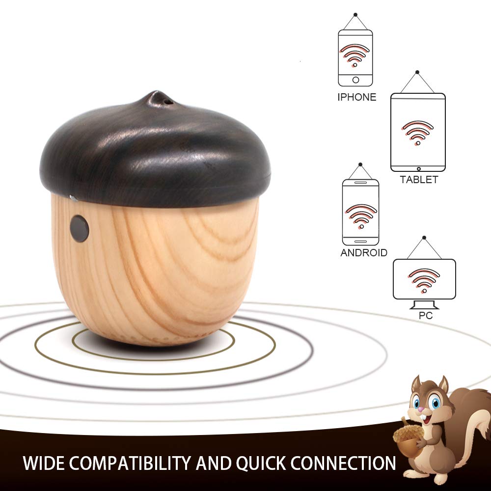 Mini Bluetooth Speaker - AVWOO Wireless Bluetooth Speaker with Enhanced Bass and Built-in Mic, Portable Bluetooth Speaker for Home Outdoor Travel, 10m