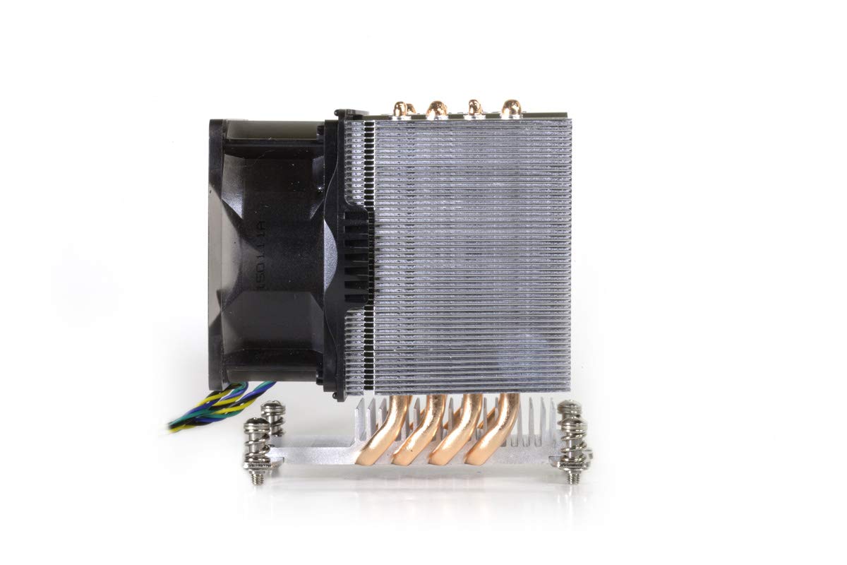 Dynatron 242290 Fn A19 Amd Socket Am4 80x80x38mm Fan For 3u Server And Up Brown Box