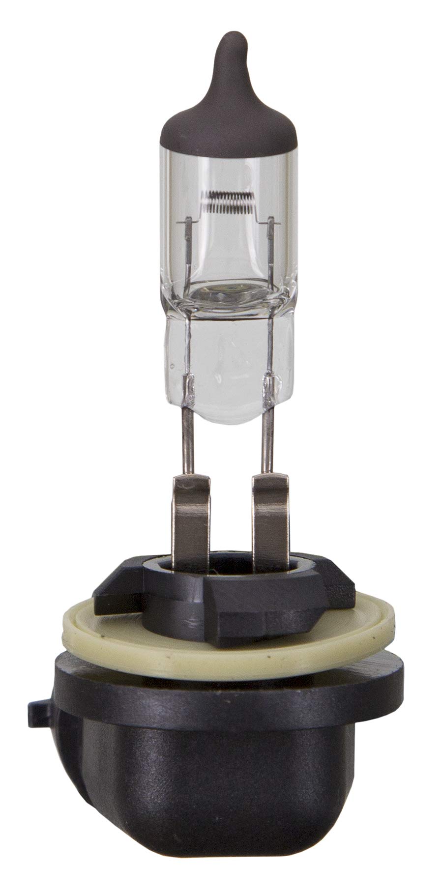 Wagner Lighting BP898 Standard Multi-Purpose Light Bulb Card of 1