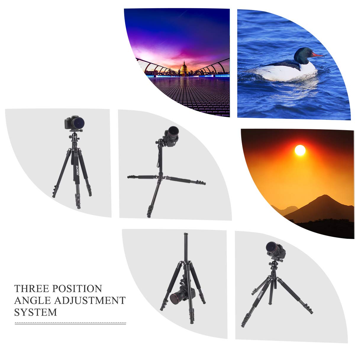 Zomei Q555 62.5'' Camera Tripod,Lightweight and Compact Aluminum Portable Travel Tripod with 360 Degree Ball Head for Vlog Nikon Canon Sony All DSLR