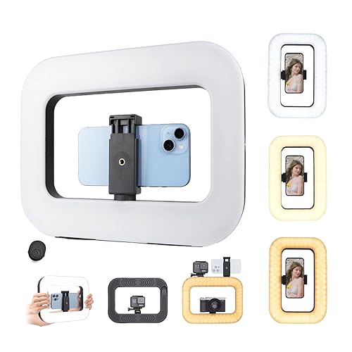 Smartphone Video Rig with Light, Handheld Ring Selfie Light Kit, LED Mobile Video Stabilizer with Built-in 8000mAh Battery for Camera, Smartphone