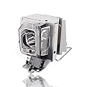 Woprolight NP35LP Replacement Projector Lamp with Housing for NEC NP-V302H NP-V332W NP-V332X V302H V332W V332X Projector