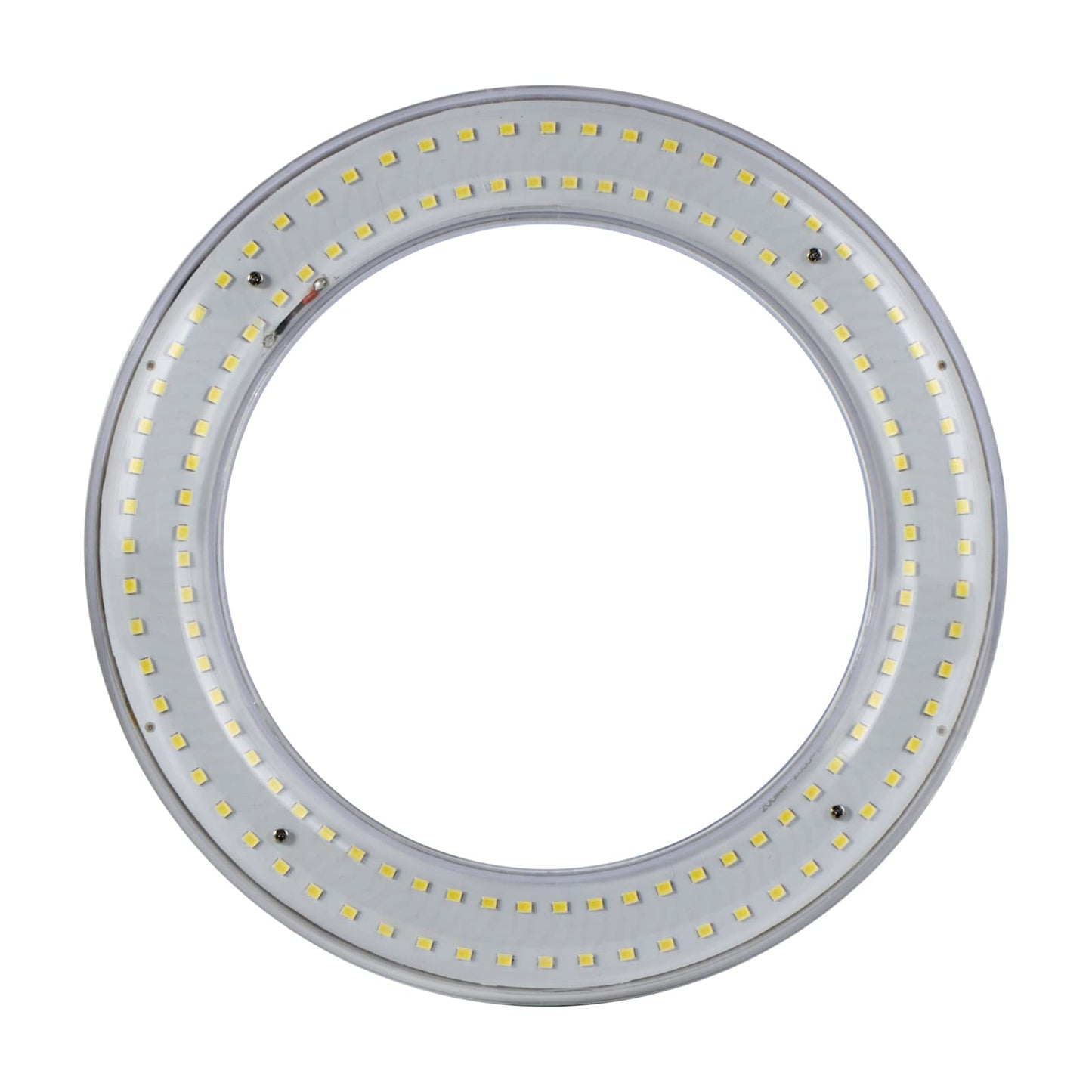 Hyintell T9 LED Circline Light Bulb, 8 Inch 1700LM LED Circular Light, 12W Clear Cover 6500K Daylight Replacement for FC8T9/CW 22-Watt Fluorescent