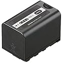 Kastar VBD58 Battery 1 Pack for Panasonic VW-VBD29 VW-VBD58 VW-VBD78 & Panasonic AG-3DA1 AG-AC8 AG-DVC30 AG-HPX171 AG-HPX250 AG-HPX255 AG-HVX201