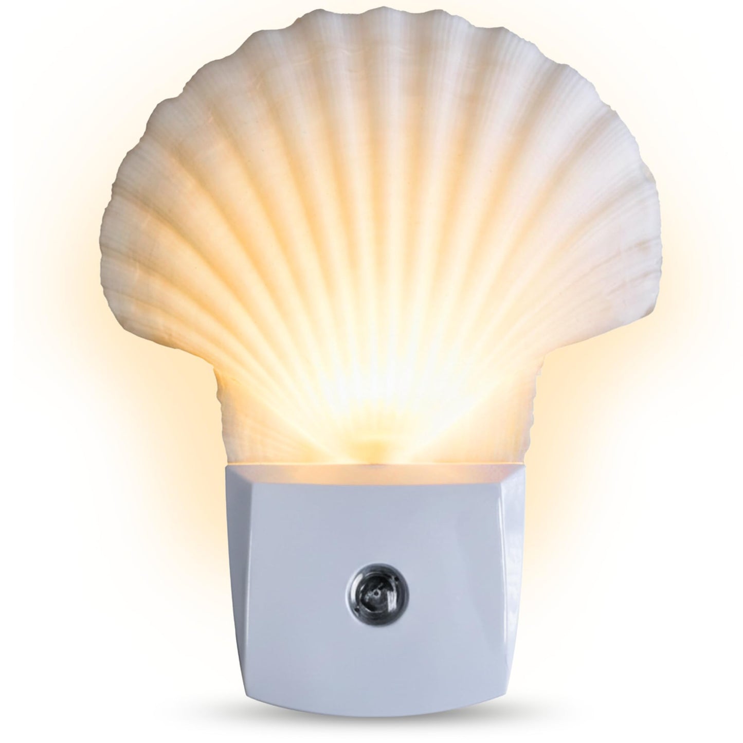 Nautical Crush Trading Seashell Night Light - Auto Beach Night Light with White Clam - Shell Light for Bathroom - Sea Shell Lamp - Seashell Lamp Plug
