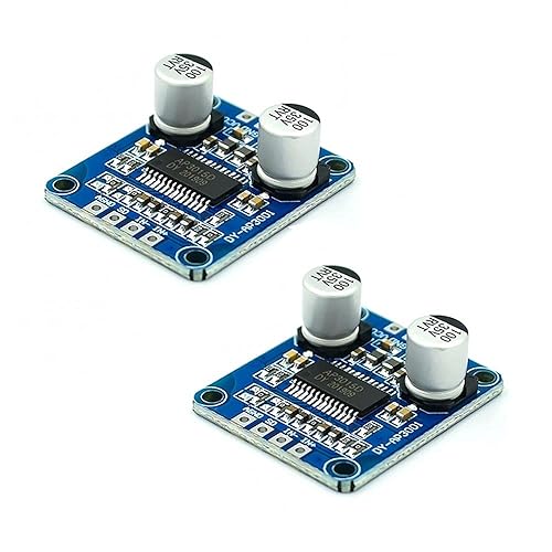 Rakstore 2pcs 10W / 20W / 30W Power Amplifier Module Class D Digital Amplifier Board 12V / 24V Supply DY-AP3001