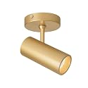 Aisilan 12W LED Ceiling Spotlight, Adjustable Directional Surface Flush Mount Lighting, Wall Spot Lights Indoor Accent Fixture for Art Picture Gallery