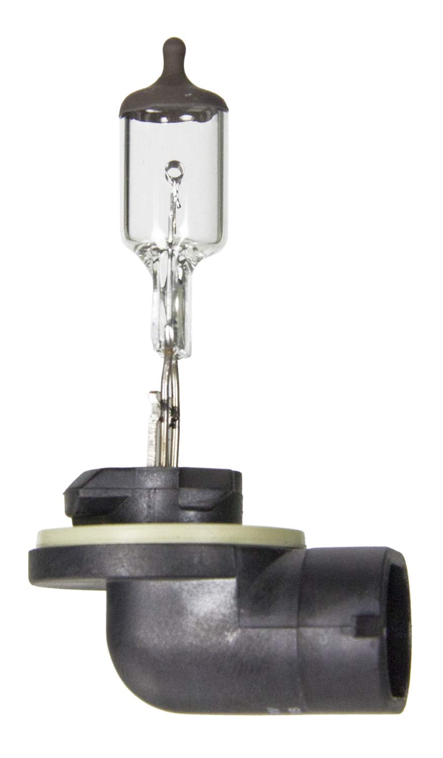 Wagner Lighting BP898 Standard Multi-Purpose Light Bulb Card of 1